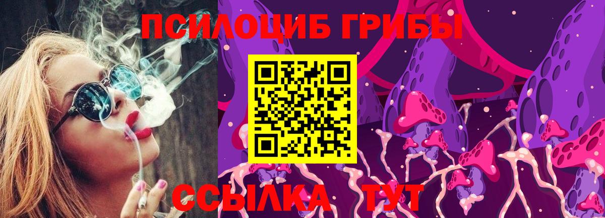Псилоцибиновые грибы Psilocybe Отрадное
