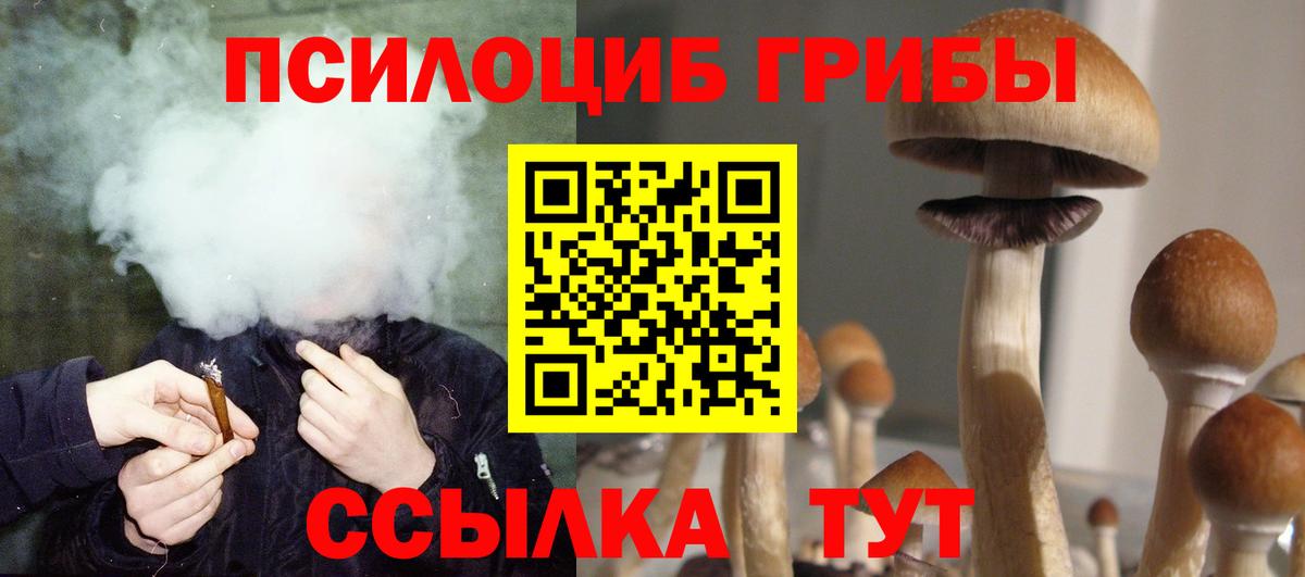 А ПВП Отрадное